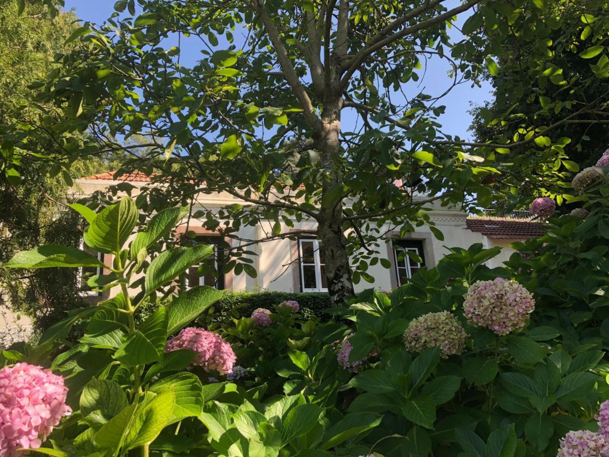 Luxurious Royal Estate In Historic Sintra Paradise מראה חיצוני תמונה