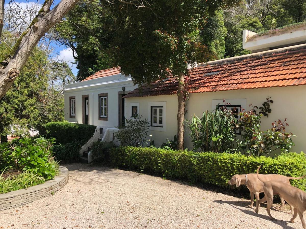 Luxurious Royal Estate In Historic Sintra Paradise מראה חיצוני תמונה