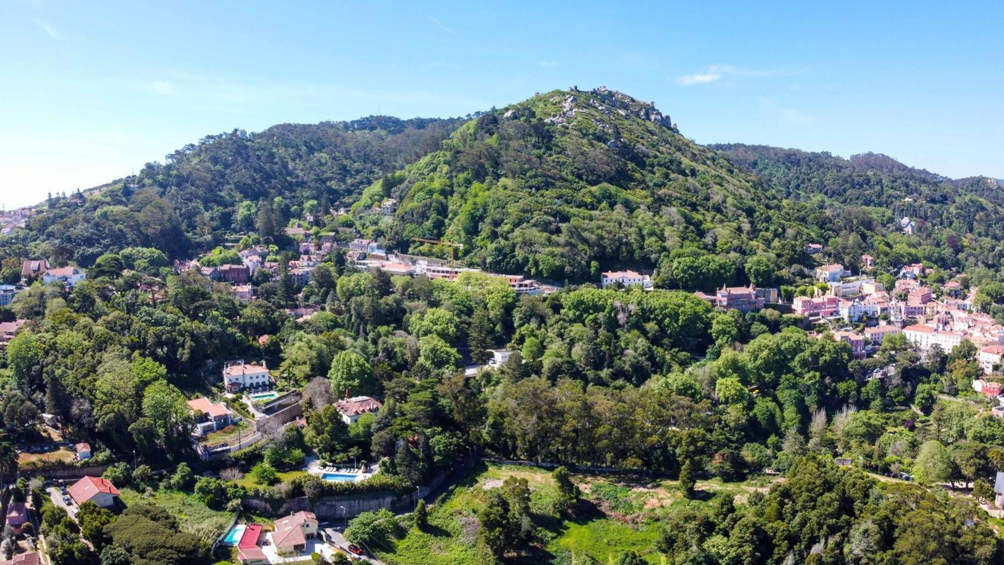 Luxurious Royal Estate In Historic Sintra Paradise מראה חיצוני תמונה